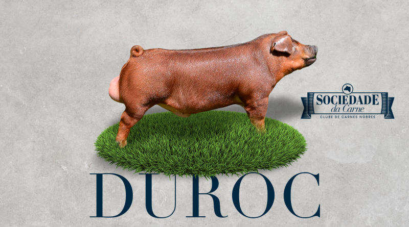 Duroc Red Pork